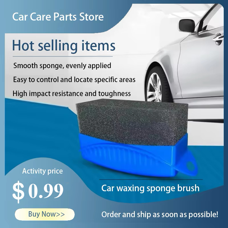 Waxing Sponge Brush With Cover - Eco Sponge recension och pris